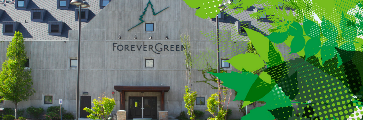 forevergreen-fejléc1